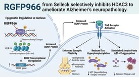 RGFP966 from Selleck selectively inhibits HDAC3 to ameliorate Alzheimer's neuropathology.
