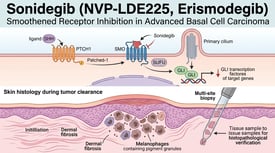 Sonidegib (NVP-LDE225, Erismodegib) NVPLDE225, Erismodegib Smoothened Receptor Inhibition in Advanced Basal Cell Carcinoma